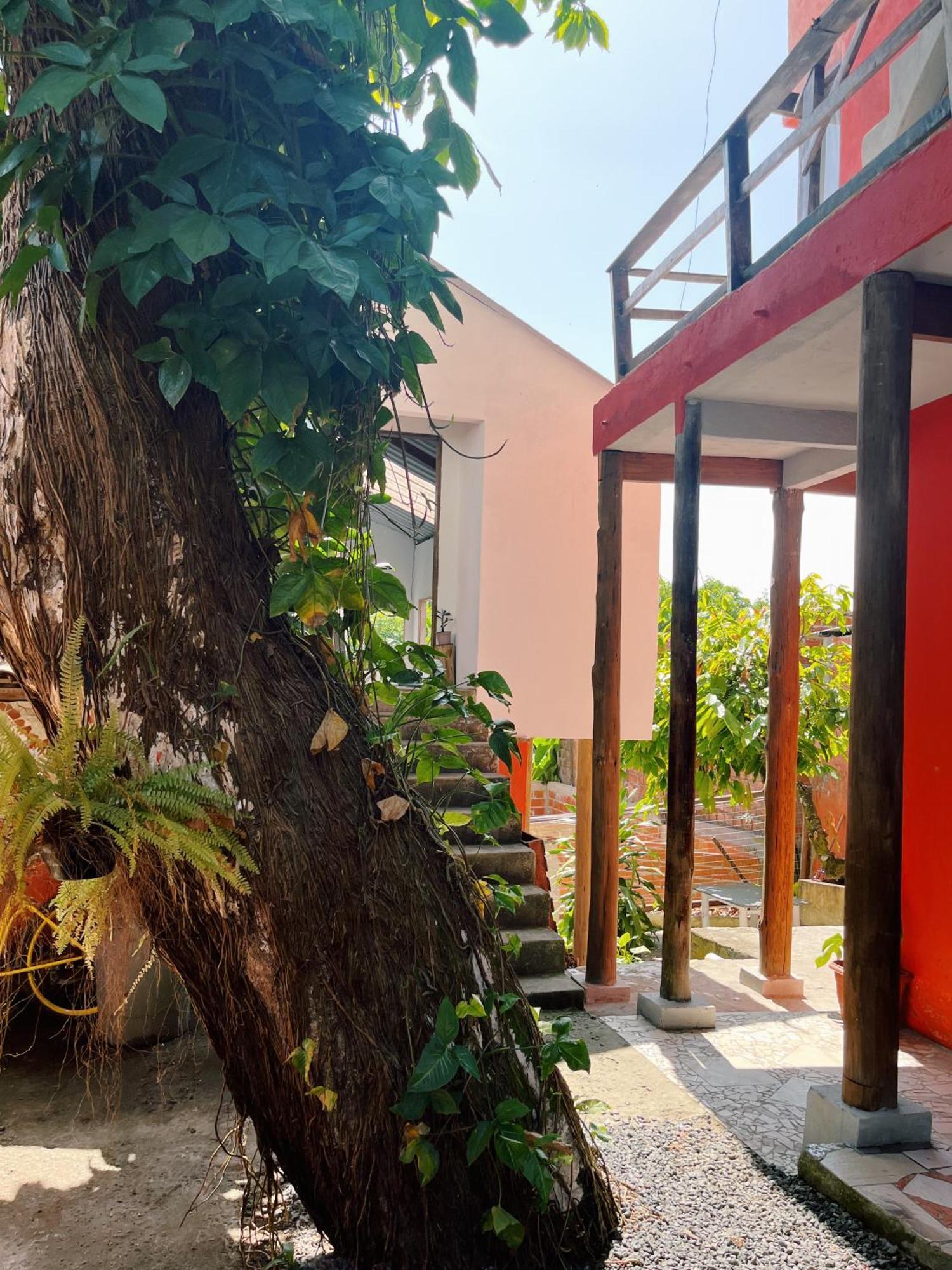 Apartamento Morada Cacauera Itacaré Exterior foto