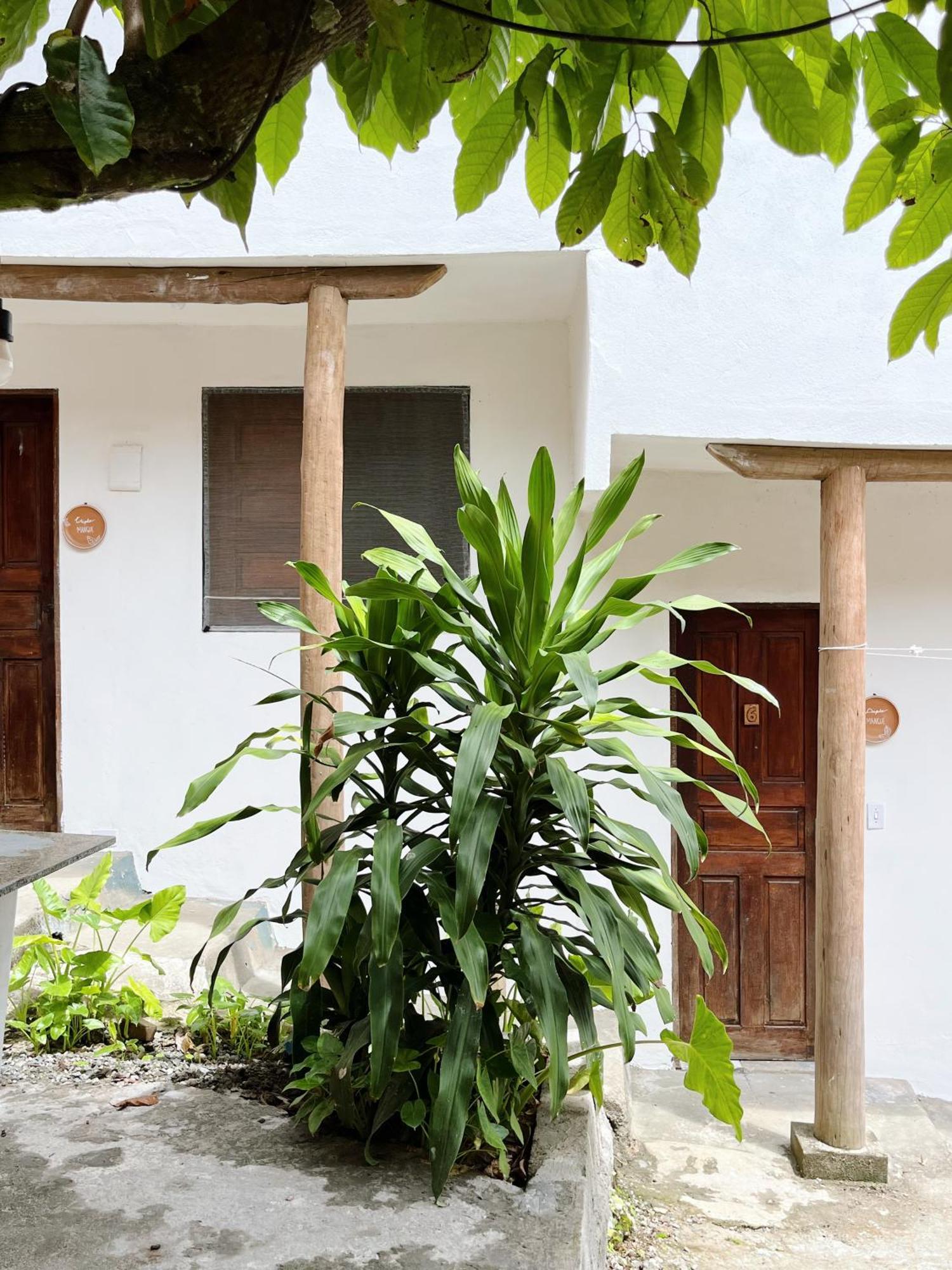 Apartamento Morada Cacauera Itacaré Exterior foto